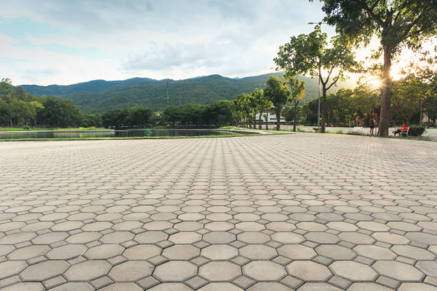 Best Residential Paver Driveway  in Ceres, CA